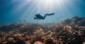 Mesmerizing view of a female scuba diver swimming underwater