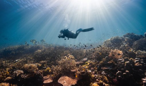 Mesmerizing view of a female scuba diver swimming underwater